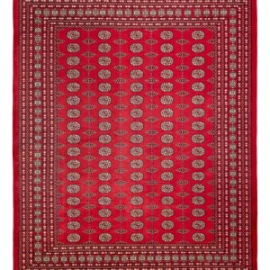 Afghansk teppe - Bukhara - 310 x 250 cm - rød