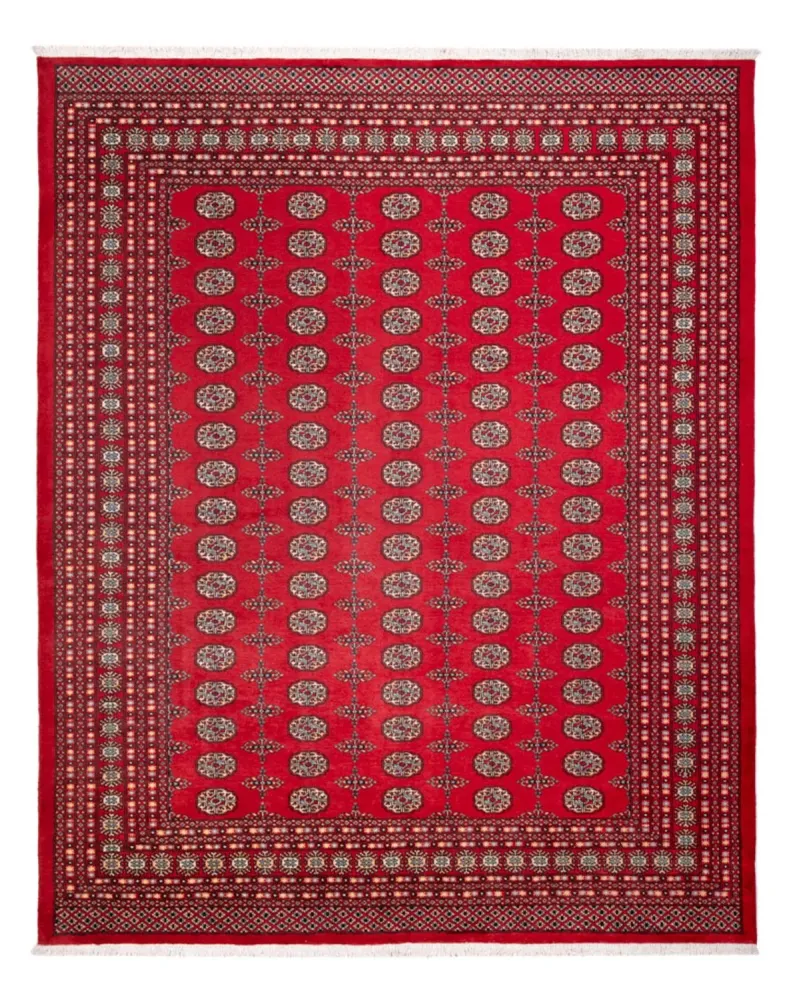 Afghansk teppe - Bukhara - 310 x 250 cm - rød