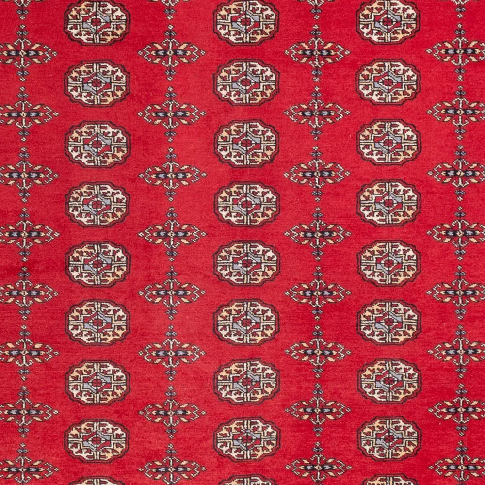 Afghansk teppe - Bukhara - 310 x 250 cm - rød