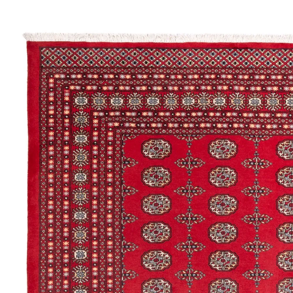 Afghansk teppe - Bukhara - 310 x 250 cm - rød