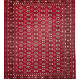 Afghansk teppe - Bukhara - 311 x 243 cm - rød