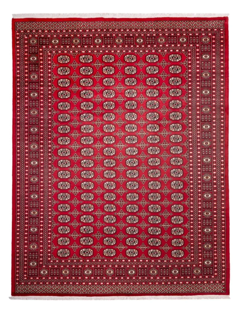 Afghansk teppe - Bukhara - 311 x 243 cm - rød