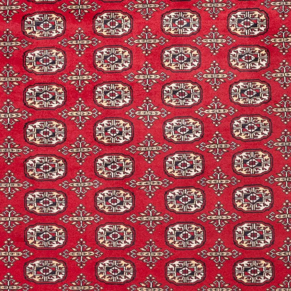 Afghansk teppe - Bukhara - 311 x 243 cm - rød