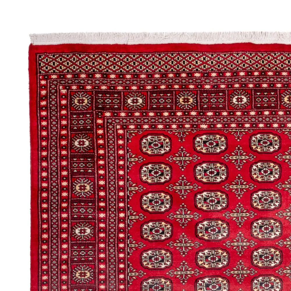 Afghansk teppe - Bukhara - 311 x 243 cm - rød