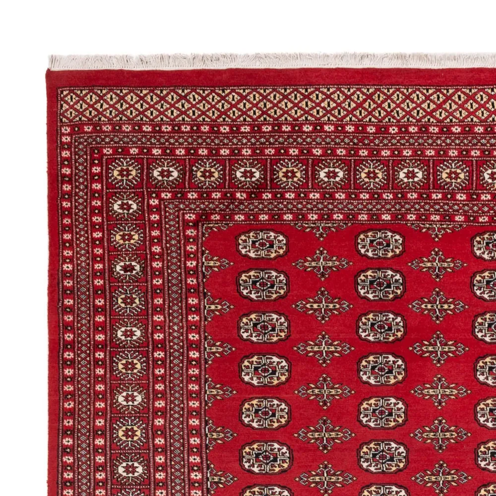 Afghansk teppe - Bukhara - 312 x 244 cm - rød