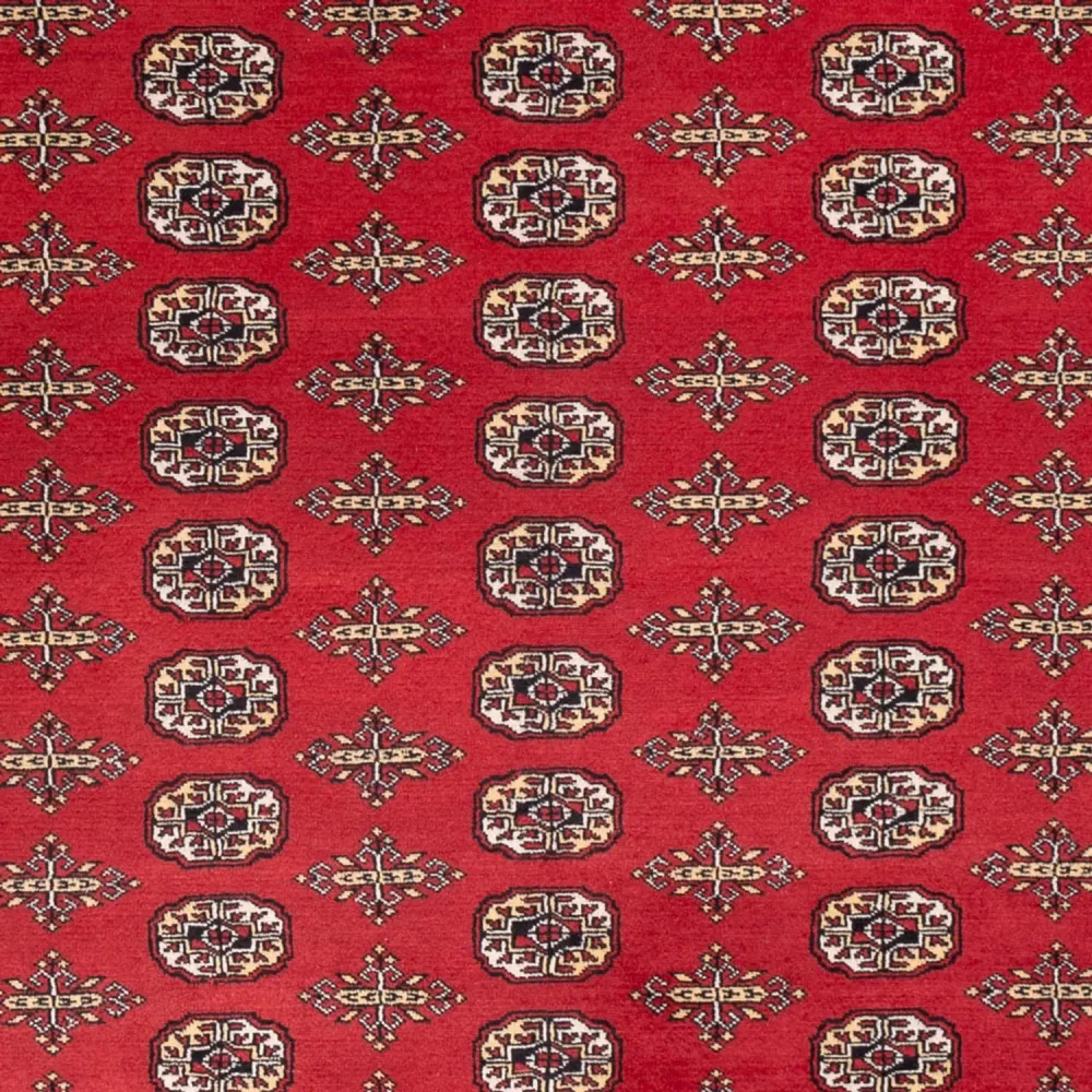 Afghansk teppe - Bukhara - 312 x 244 cm - rød