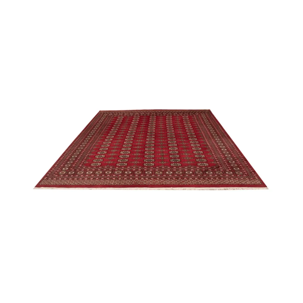 Afghansk teppe - Bukhara - 312 x 244 cm - rød