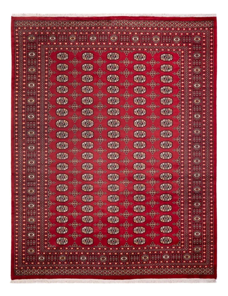 Afghansk teppe - Bukhara - 312 x 245 cm - rød