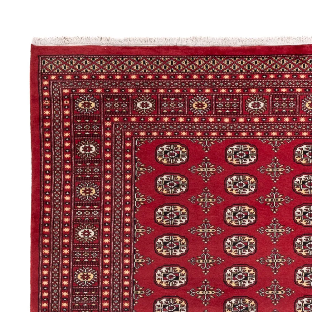 Afghansk teppe - Bukhara - 312 x 245 cm - rød
