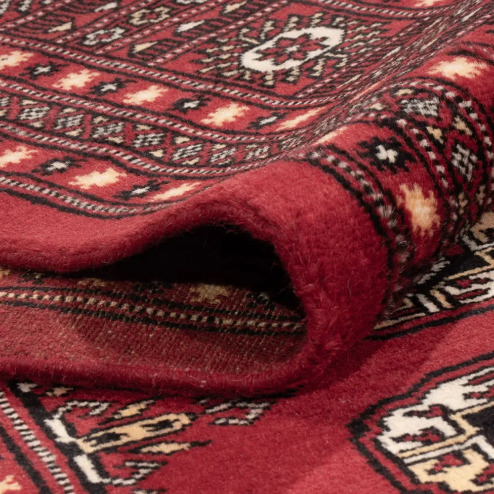 Afghansk teppe - Bukhara - 312 x 245 cm - rød