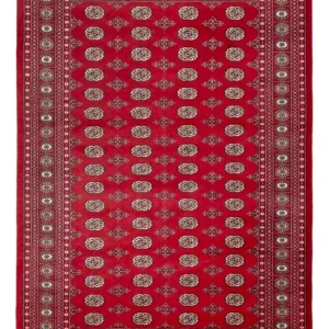 Afghansk teppe - Bukhara - 313 x 207 cm - rød