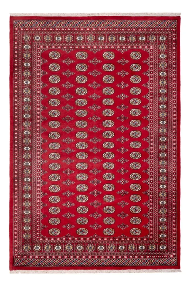 Afghansk teppe - Bukhara - 313 x 207 cm - rød
