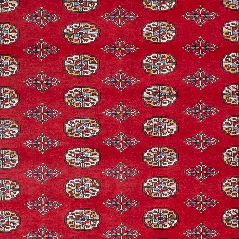 Afghansk teppe - Bukhara - 313 x 207 cm - rød