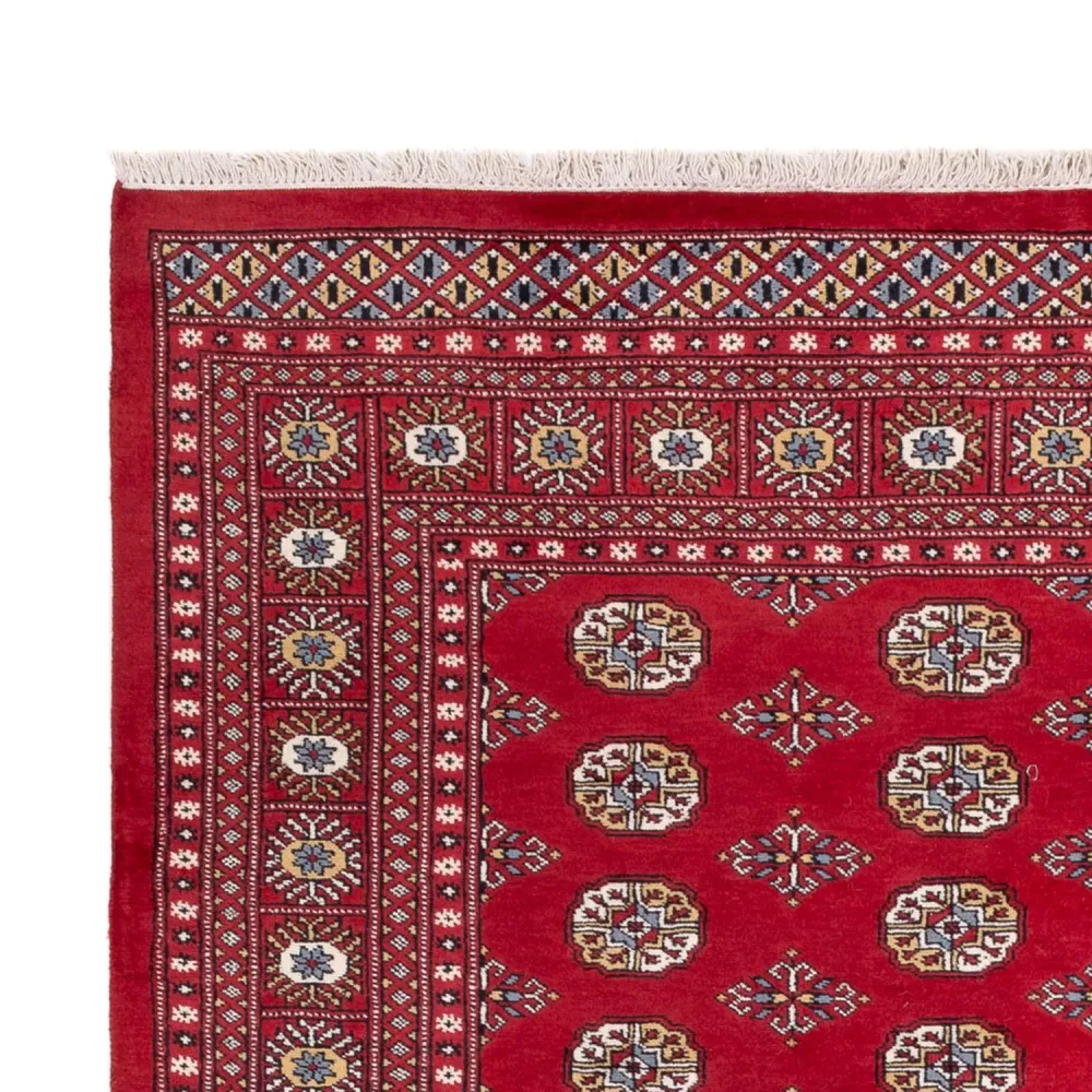 Afghansk teppe - Bukhara - 313 x 207 cm - rød