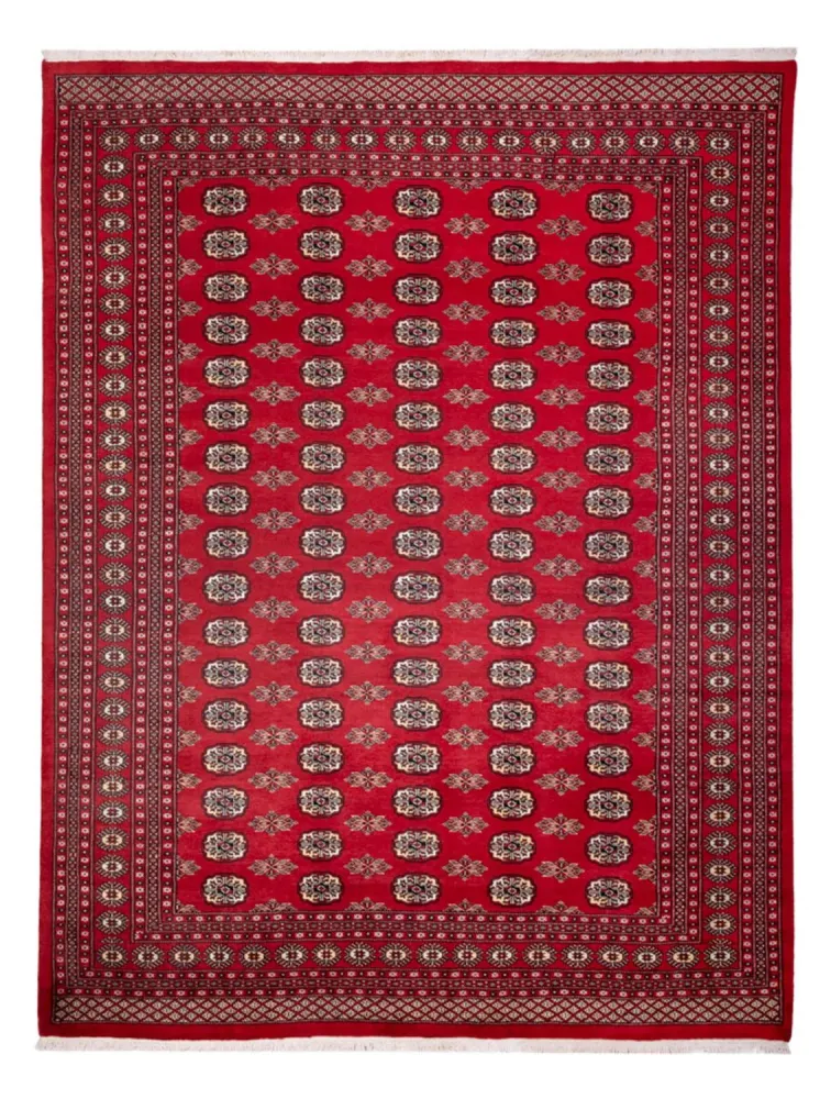 Afghansk teppe - Bukhara - 314 x 243 cm - rød