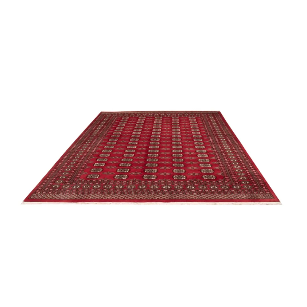 Afghansk teppe - Bukhara - 314 x 243 cm - rød
