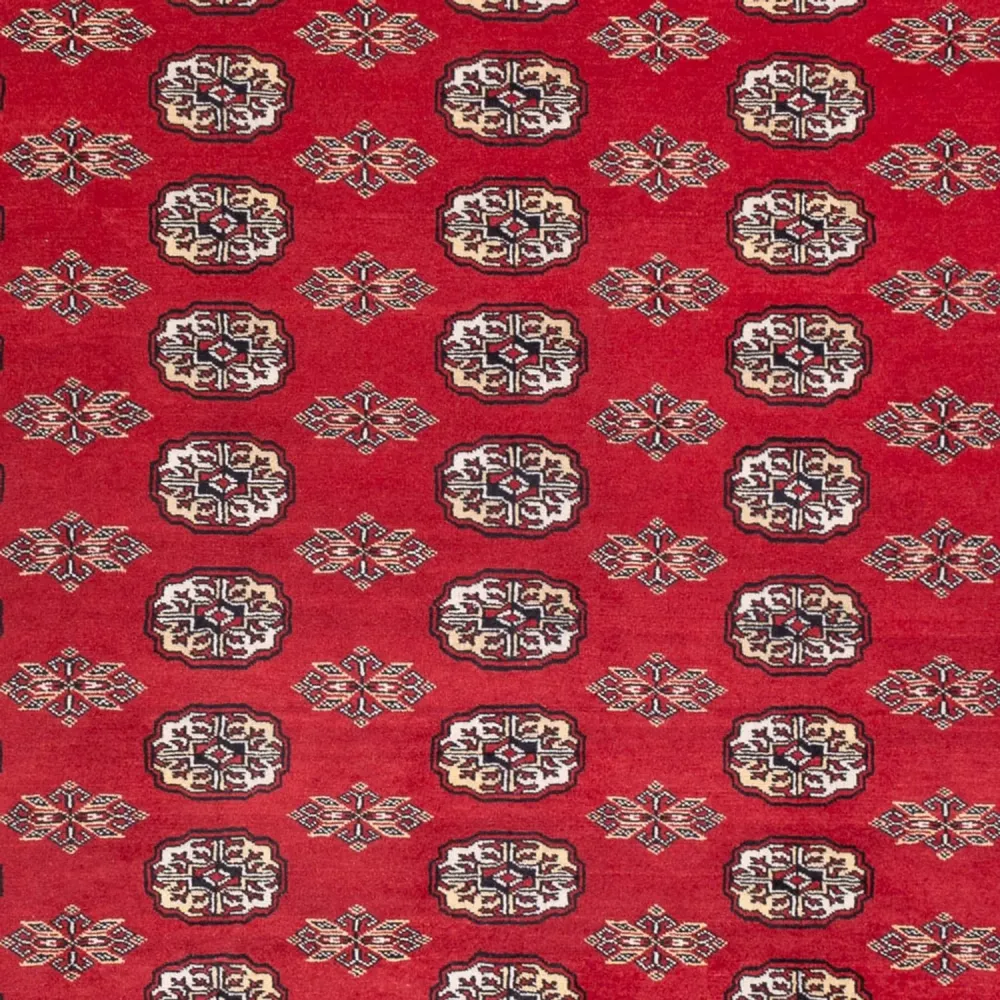 Afghansk teppe - Bukhara - 314 x 243 cm - rød