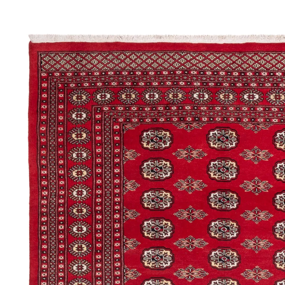 Afghansk teppe - Bukhara - 314 x 243 cm - rød