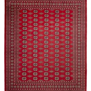 Afghansk teppe - Bukhara - 315 x 248 cm - rød