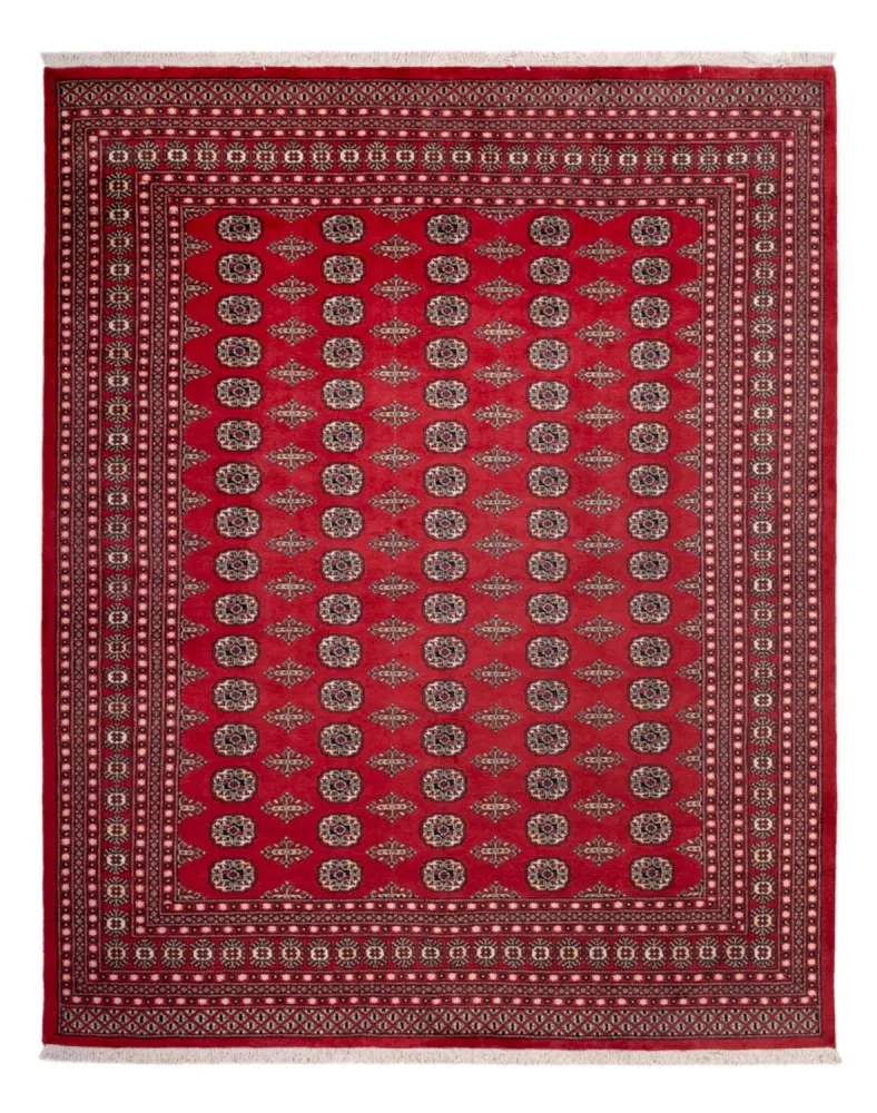 Afghansk teppe - Bukhara - 315 x 248 cm - rød