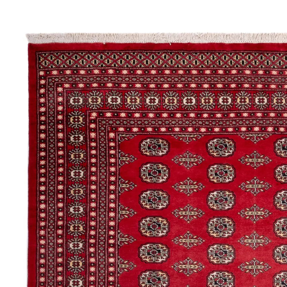 Afghansk teppe - Bukhara - 315 x 248 cm - rød