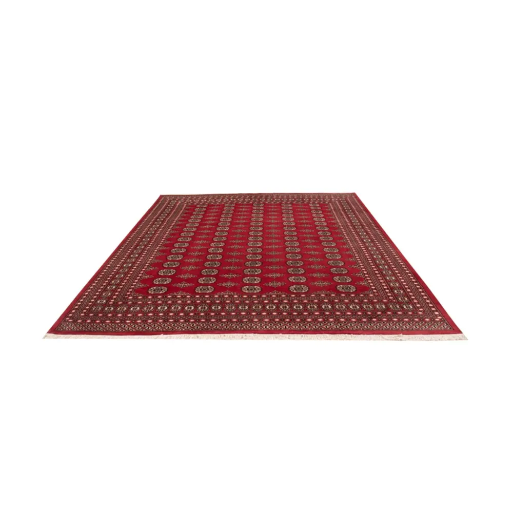 Afghansk teppe - Bukhara - 315 x 248 cm - rød
