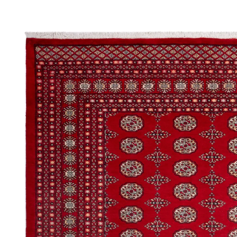 Afghansk teppe - Bukhara - 318 x 247 cm - rød