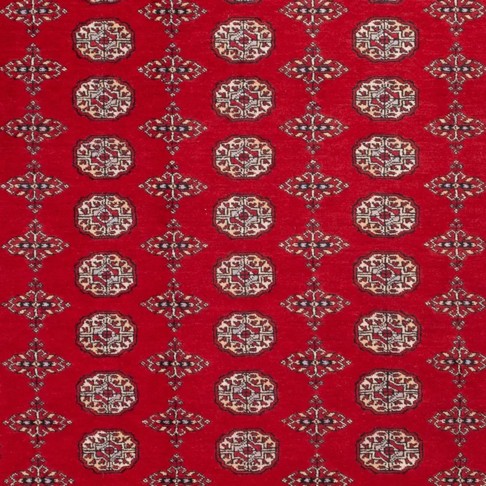 Afghansk teppe - Bukhara - 318 x 247 cm - rød