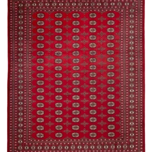 Afghansk teppe - Bukhara - 319 x 250 cm - rød