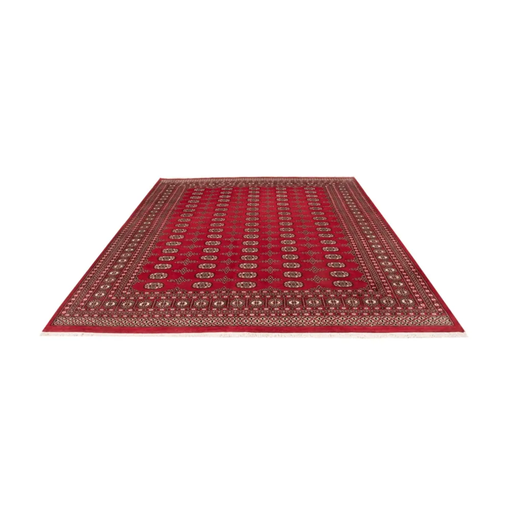 Afghansk teppe - Bukhara - 319 x 250 cm - rød