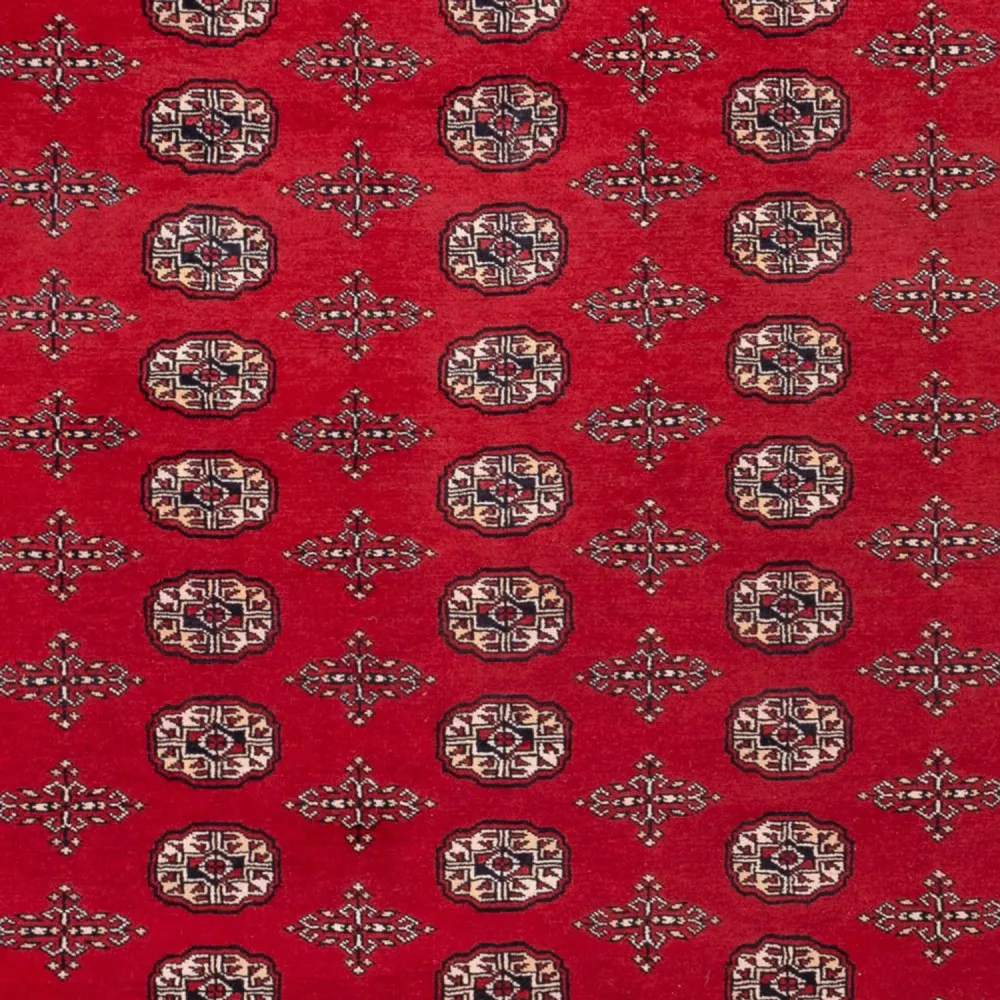 Afghansk teppe - Bukhara - 319 x 250 cm - rød