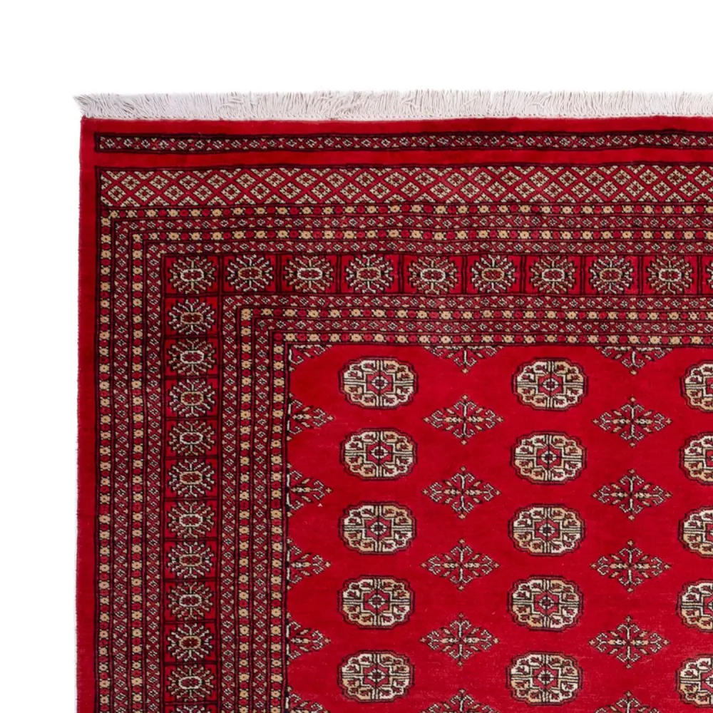 Afghansk teppe - Bukhara - 321 x 247 cm - rød