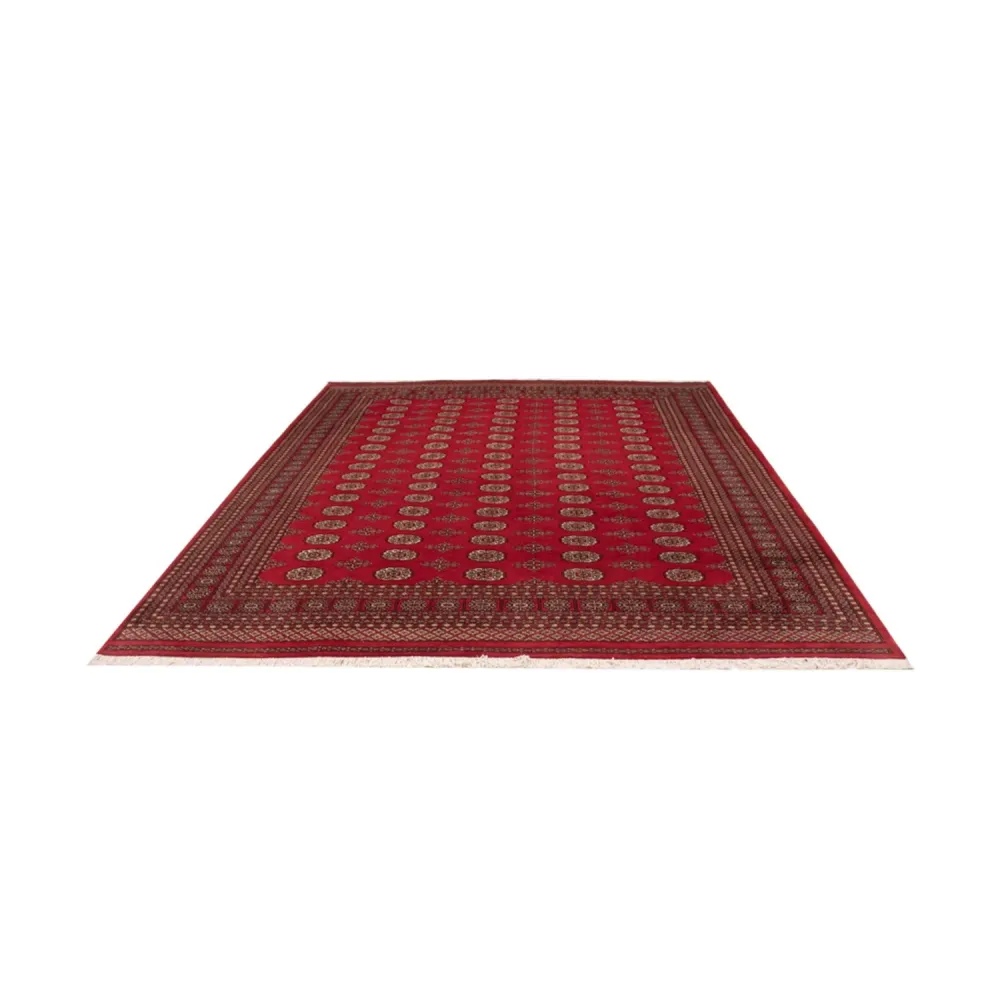 Afghansk teppe - Bukhara - 321 x 247 cm - rød