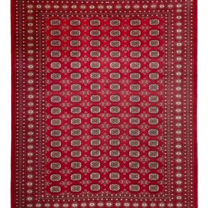 Afghansk teppe - Bukhara - 322 x 248 cm - rød