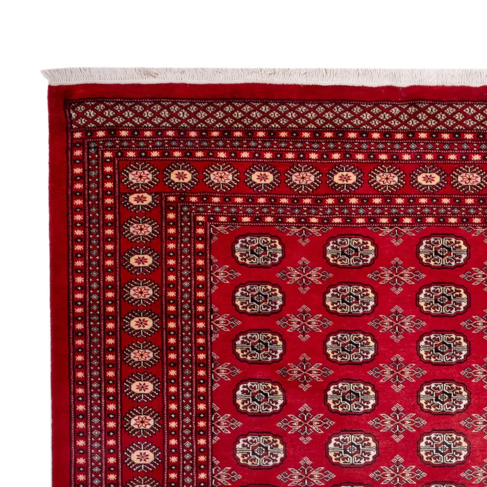 Afghansk teppe - Bukhara - 322 x 248 cm - rød