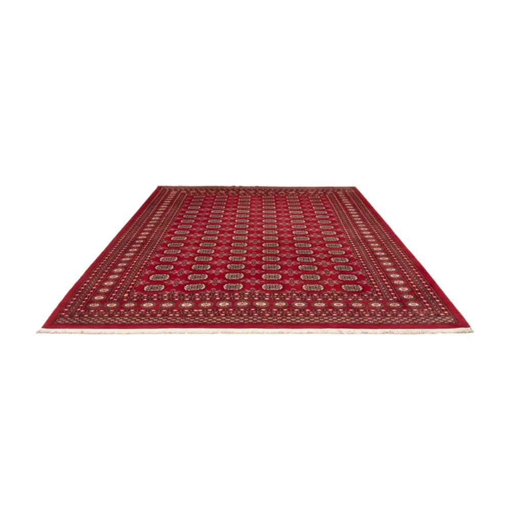 Afghansk teppe - Bukhara - 322 x 248 cm - rød