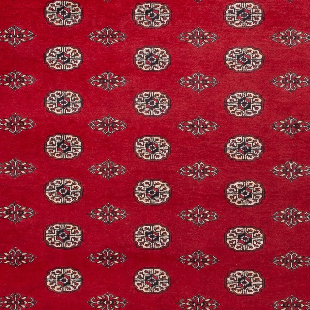 Afghansk teppe - Bukhara - 323 x 248 cm - rød