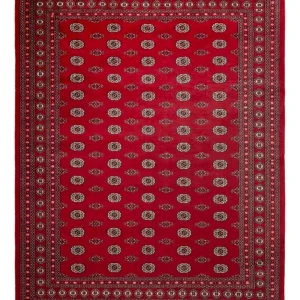 Afghansk teppe - Bukhara - 323 x 248 cm - rød