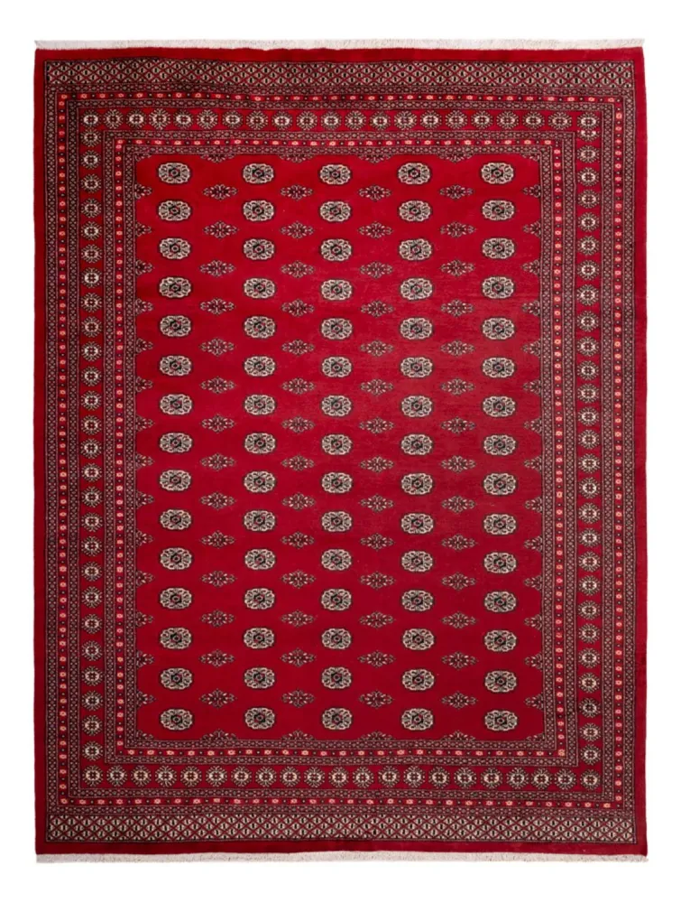 Afghansk teppe - Bukhara - 323 x 248 cm - rød