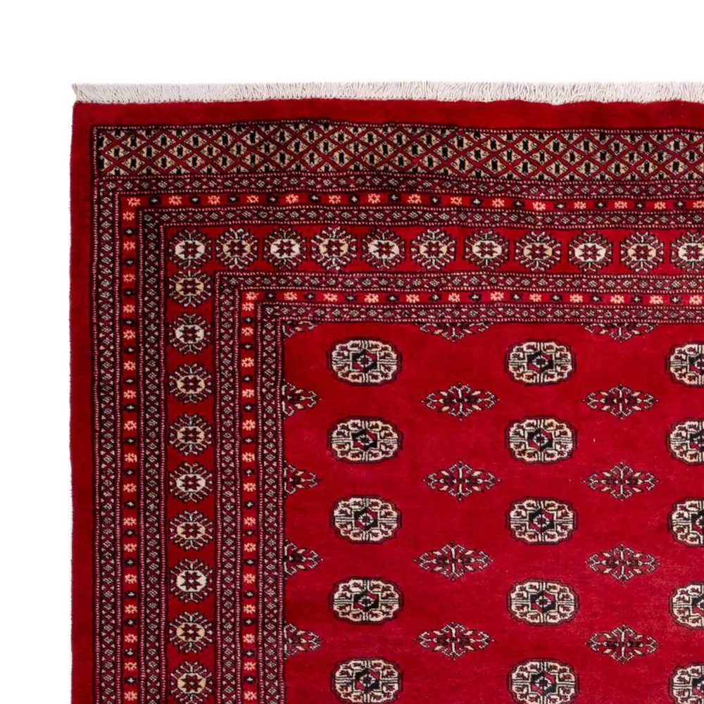 Afghansk teppe - Bukhara - 323 x 248 cm - rød