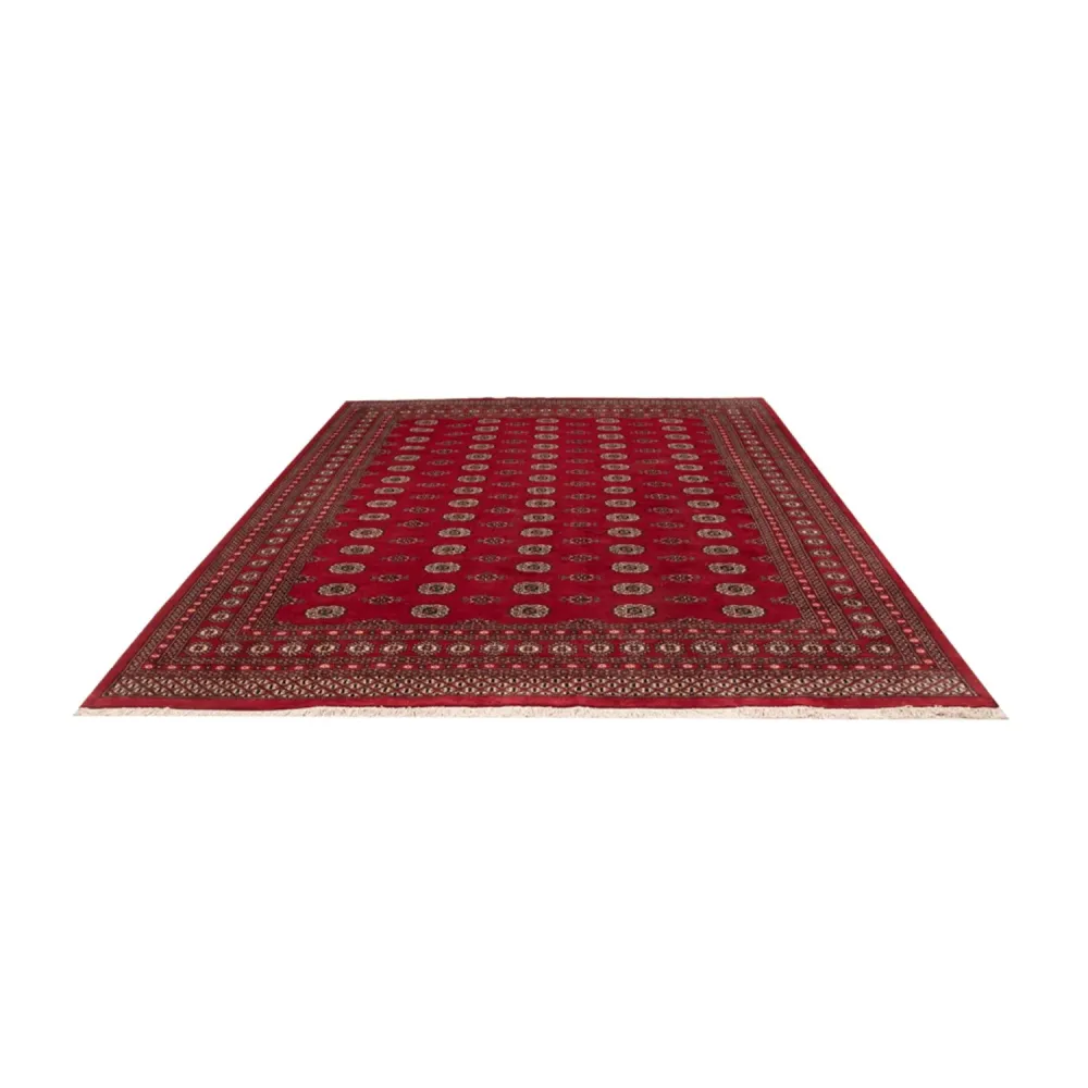 Afghansk teppe - Bukhara - 323 x 248 cm - rød