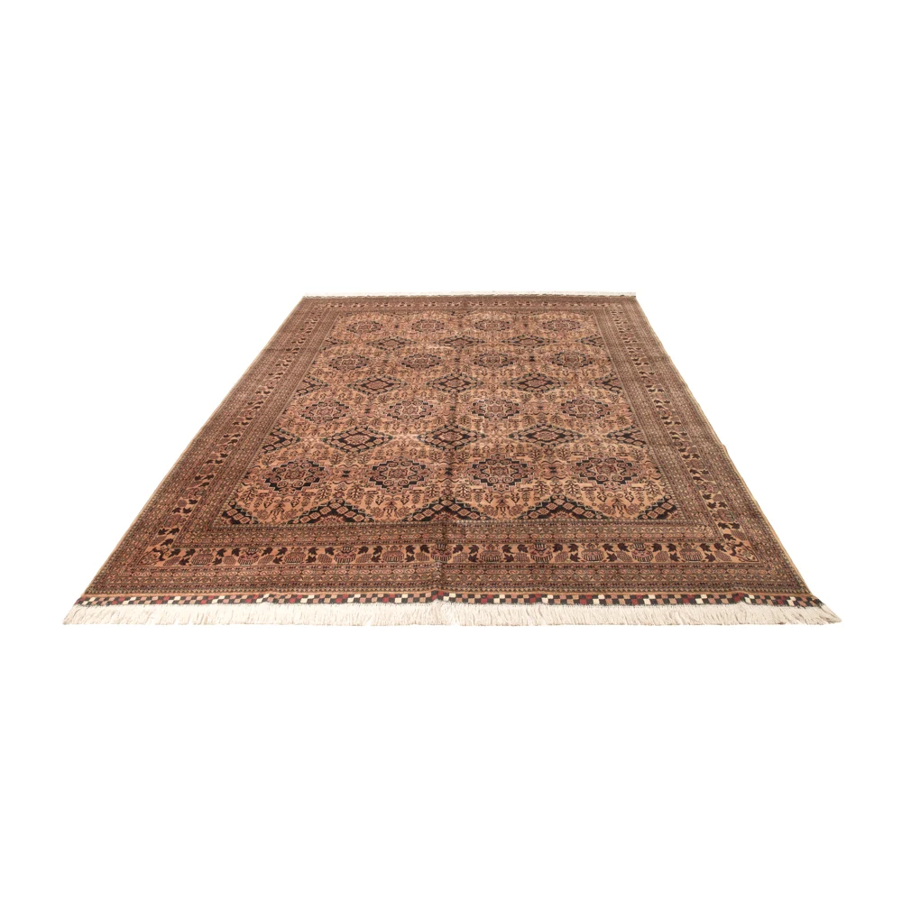 Afghansk teppe - Bukhara - 344 x 246 cm - mørk beige
