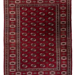 Afghansk teppe - Bukhara - 350 x 250 cm - karamell