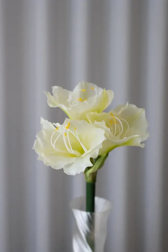 Bloom Objects - Artificial Amaryllis - White 02-434 - White