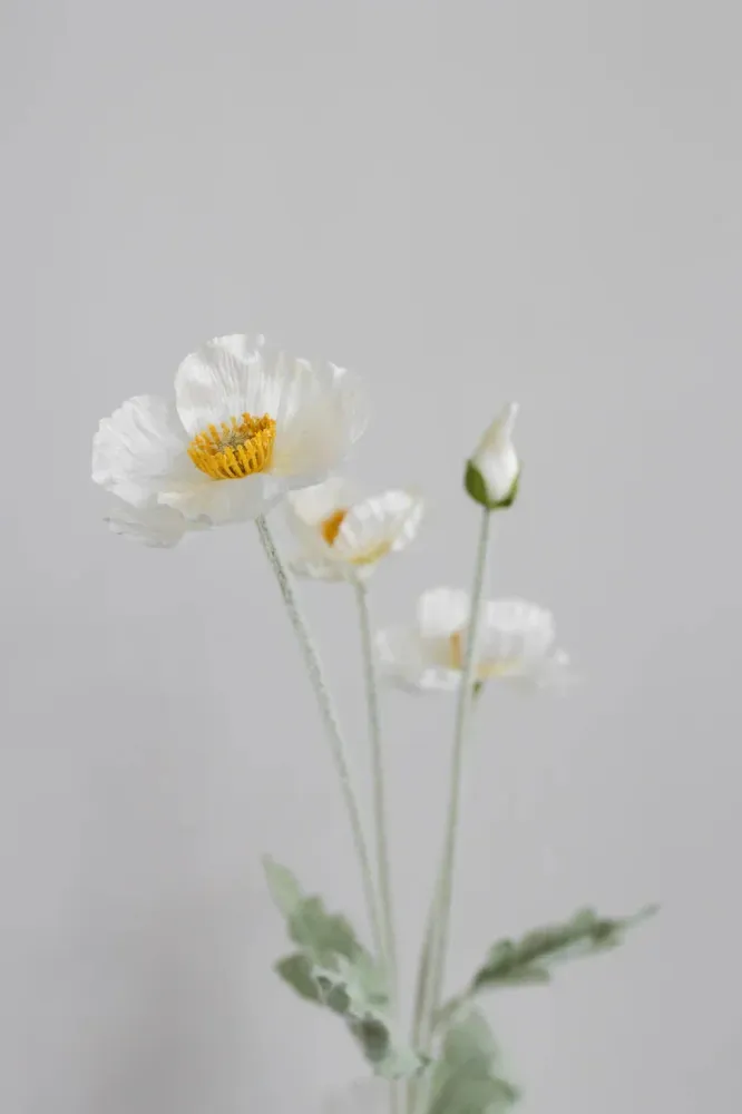Bloom Objects - Artificial Cream Poppy 02-132 - Cream