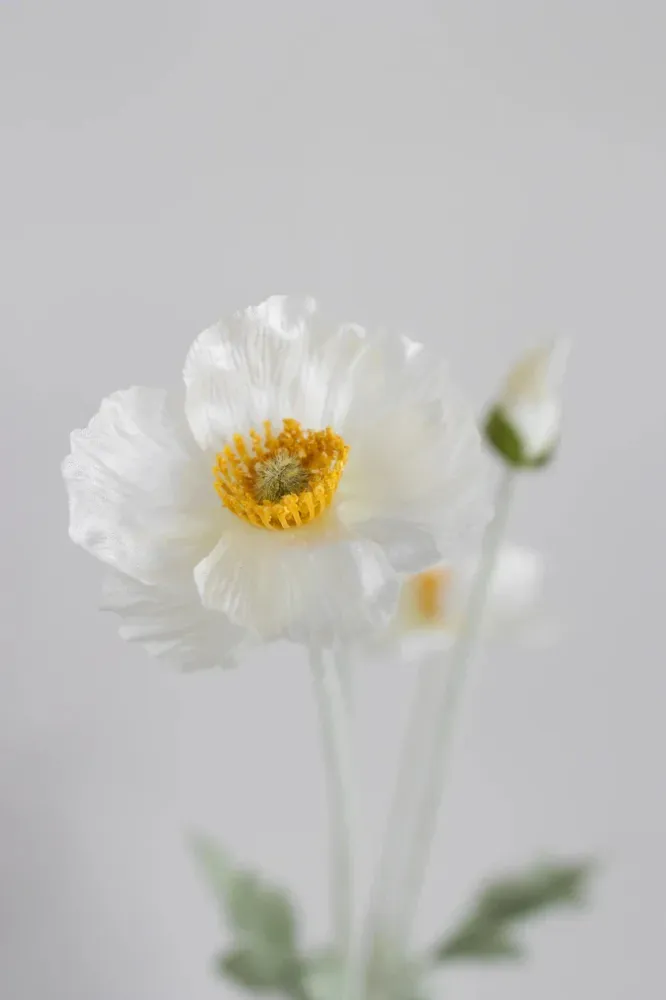 Bloom Objects - Artificial Cream Poppy 02-132 - Cream