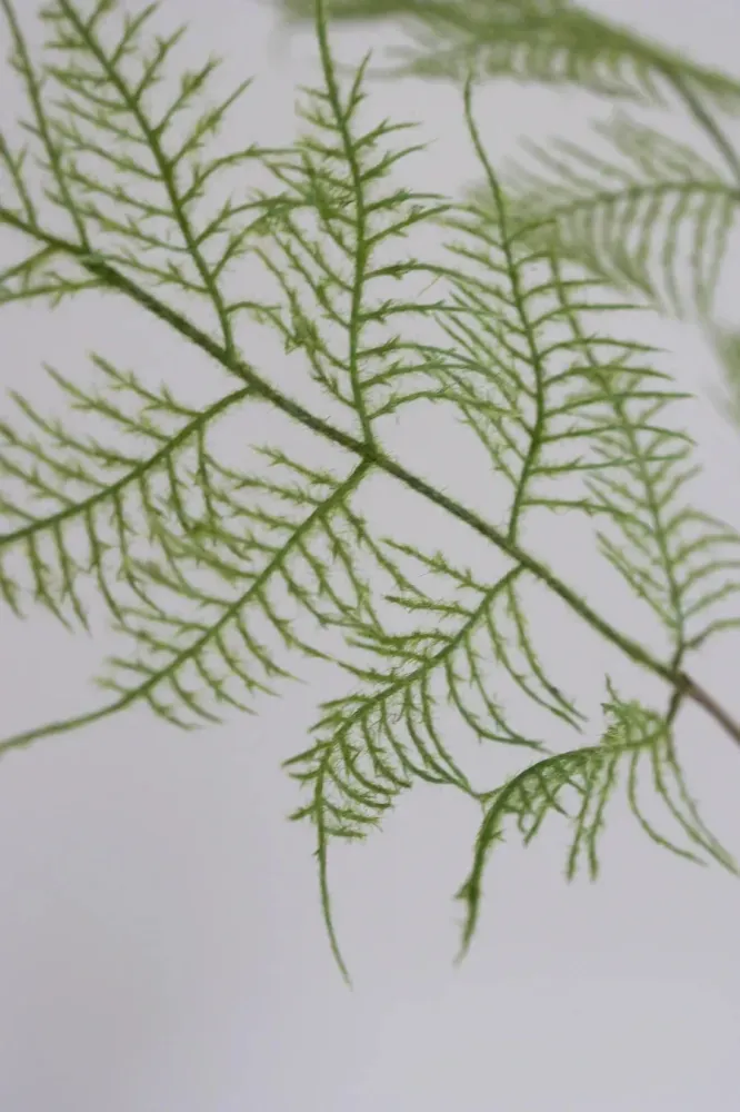 Bloom Objects - Artificial Fern Plant 02-110 - Green
