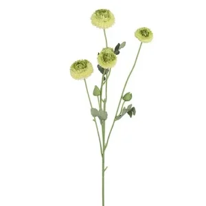 Chrysanthrmum
