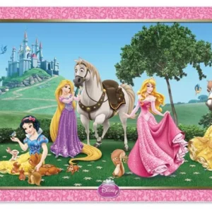 Disney Prinsesse Plakat