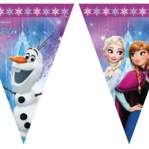 Frost Nordlys Flagbanner
